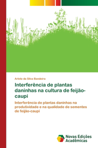 Interferência de plantas daninhas na cultura de feijão-caupi