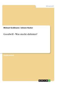 Goodwill - Was steckt dahinter?