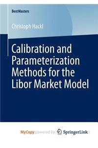 Calibration and Parameterization Methods for the Libor Market Model