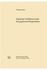 Optimale Verfahrenswahl bei gegebenen Kapazitäten