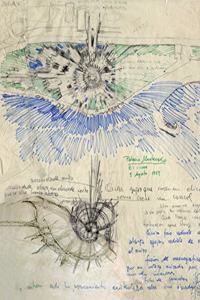 FERNANDO HIGUERAS: DESDE EL ORIGEN 1950-2008