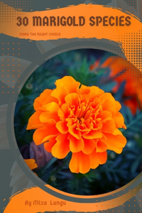 30 Marigold species