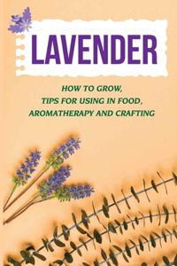 Lavender