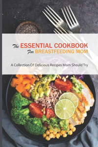 The Essential Cookbook For Breastfeeding Mom