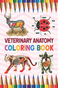 Veterinary Anatomy Coloring Book