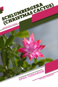 Schlumbergera (Christmas Cactus)