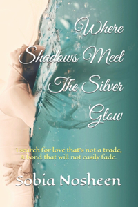 Where Shadows Meet The Silver Glow