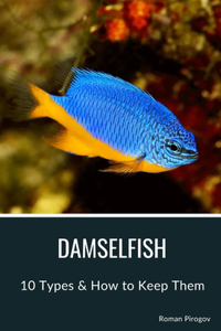 Damselfish