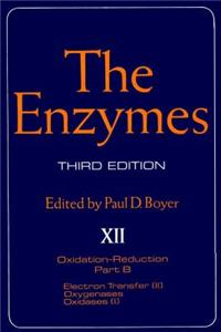 The Enzymes
