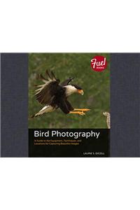 Bird Photography