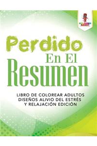 Perdido En El Resumen