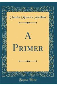 A Primer (Classic Reprint)