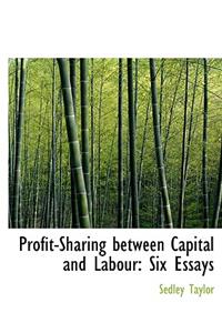 Profit-Sharing Between Capital and Labour