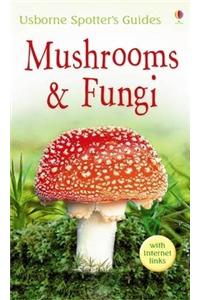 Mushrooms and Funghi