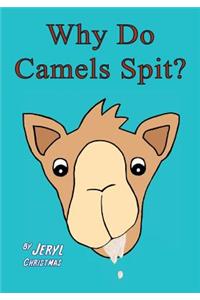 Why Do Camels Spit?