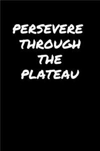 Persevere�Through The Plateau