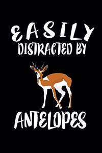 Easily Distracted By Antelopes
