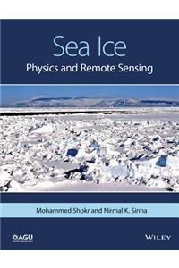 Sea Ice - Physics and Remote Sensing