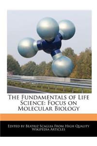 The Fundamentals of Life Science