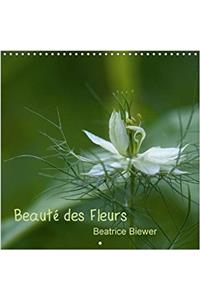 Beaute Des Fleurs 2018