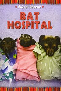 Animal Rescue: Bat Hospital