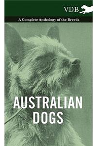 Australian Dogs - A Complete Anthology of the Breeds -