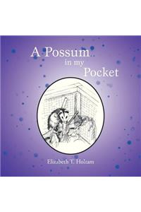 Possum in my Pocket