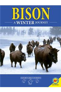 Bison: A Winter Journey