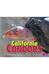 California Condors