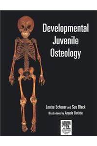 Developmental Juvenile Osteology