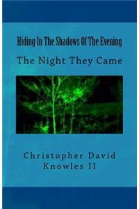Hiding In The Shadows Of The Evening