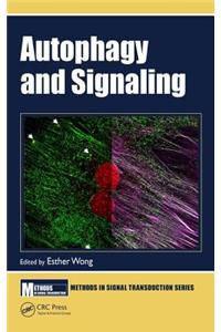 Autophagy and Signaling