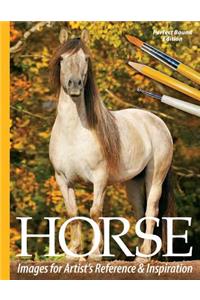 Horse Images for Artist's Reference and Inspiration