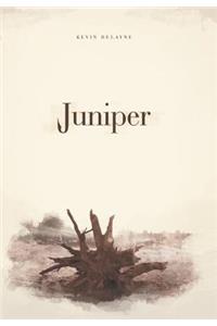 Juniper