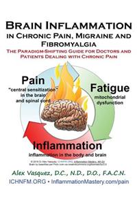 Brain Inflammation in Chronic Pain, Migraine and Fibromyalgia