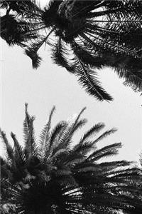 Peaceful Palm Trees Notebook