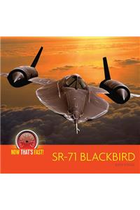 Sr-71 Blackbird (Plane)