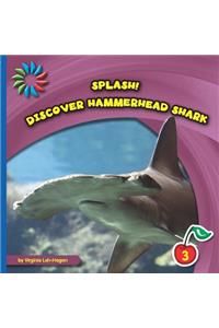 Discover Hammerhead Shark