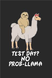 Faultier reitet auf Lama Notizbuch