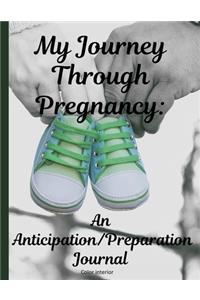 My Journey Through Pregnancy
