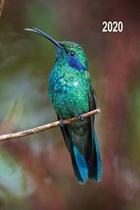 Low Vision 2020 Daily Planner