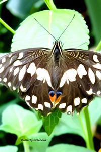Butterfly Notebook