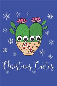 Christmas Cactus