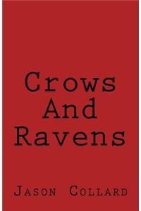 Crows and Ravens