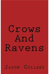 Crows and Ravens