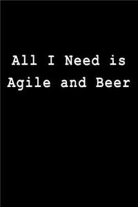 All I Need Is Agile and Beer