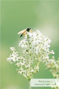 Grid-Lined Journal Notebook.