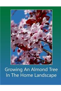 Growing An Almond Tree In The Home Landscape