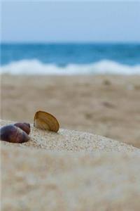 Shells On The Sand Notebook