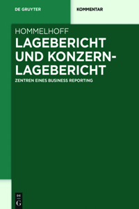 Lagebericht und Konzernlagebericht